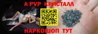 стаф Гай