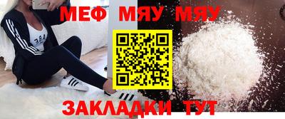 стаф Гай