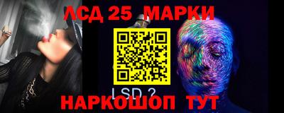 стаф Гай