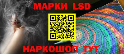 стаф Гай