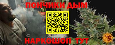 стаф Гай