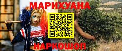 стаф Гай