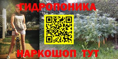стаф Гай