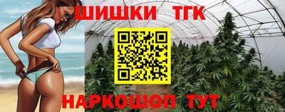 стаф Гай