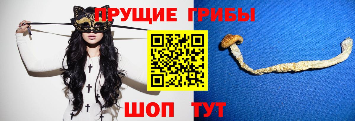 Галлюциногенные грибы прущие грибы Чистополь